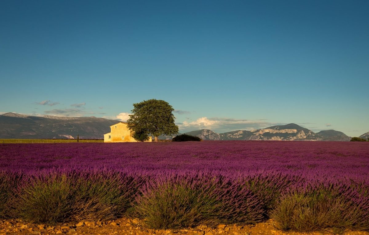 provença